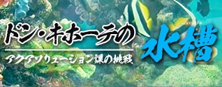 ドン・キホーテの水槽